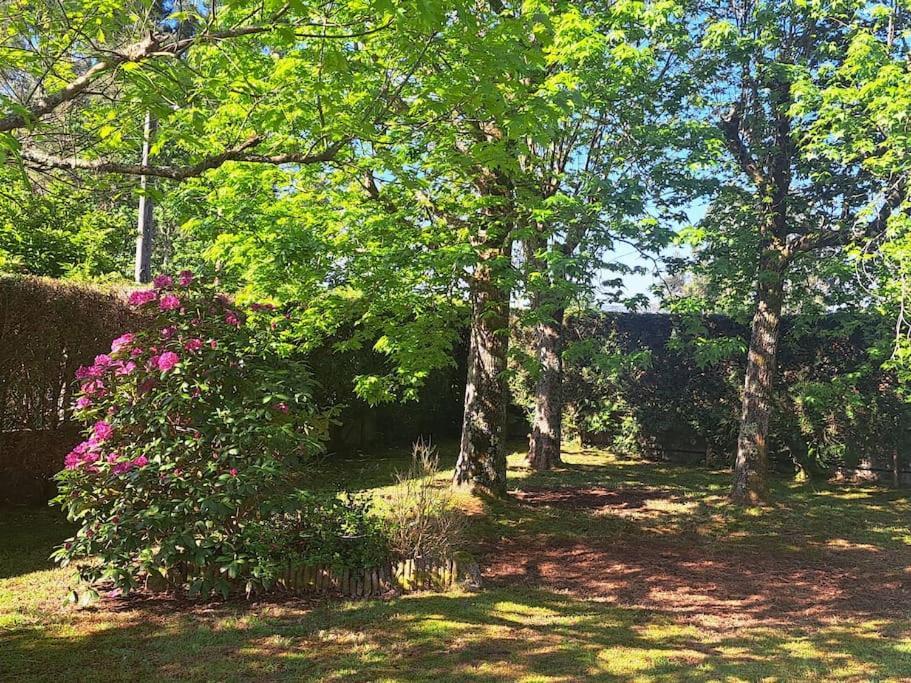 Villa Casa Olga Tomiño Esterno foto
