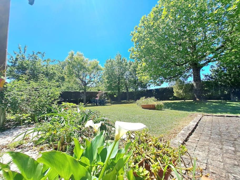 Villa Casa Olga Tomiño Esterno foto